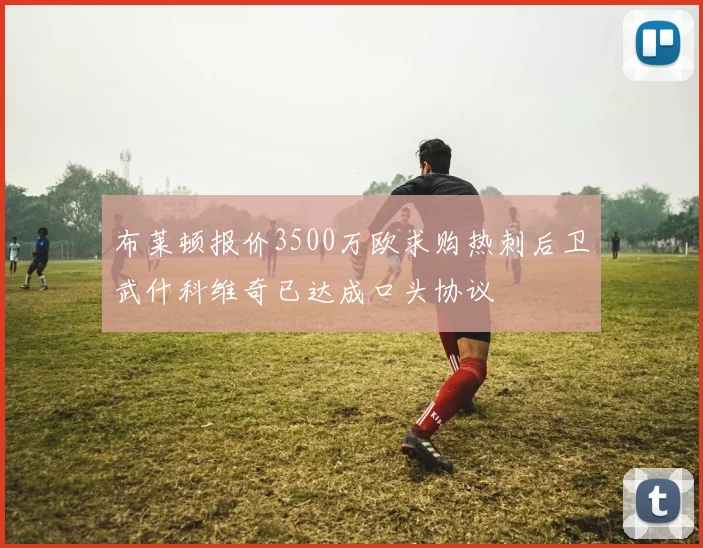 布莱顿报价3500万欧求购热刺后卫武什科维奇已达成口头协议