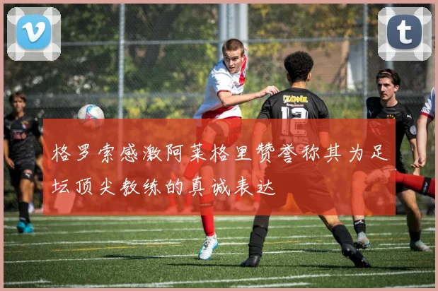 格罗索感激阿莱格里赞誉称其为足坛顶尖教练的真诚表达